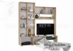 ФЛАЙ Центральная секция ЦС-01 (дуб сонома/белый) в Приобье - priobie.ok-mebel.com | фото 4