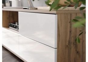 Тумба под ТВ Маллоу в Приобье - priobie.ok-mebel.com | фото 4