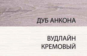 Тумба RTV 1V2D1S, OLIVIA, цвет вудлайн крем/дуб анкона в Приобье - priobie.ok-mebel.com | фото 5