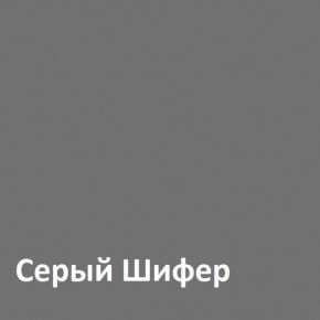 Юнона Шкаф торцевой 13.221 в Приобье - priobie.ok-mebel.com | фото 2