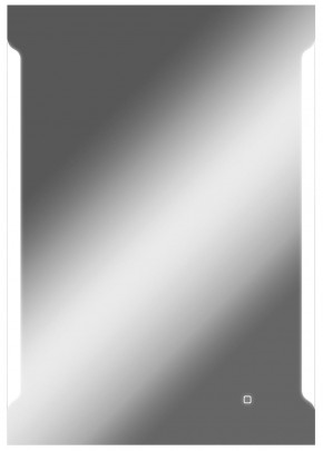 Зеркало Оттава 1000х700 с подсветкой Домино (GL7028Z) в Приобье - priobie.ok-mebel.com | фото 1